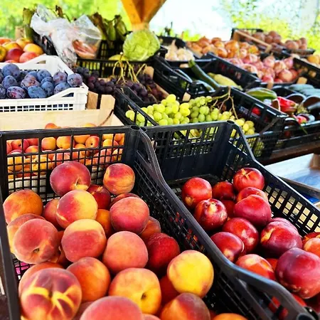 Privlike Privlaka (Zadar)