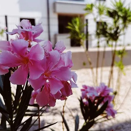 Privlike * Privlaka (Zadar)