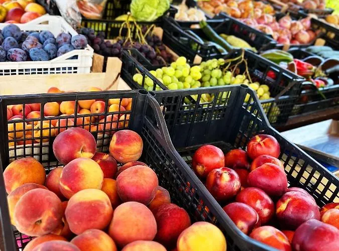 Privlike Privlaka (Zadar)